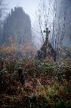 Graveyard in England in Winter-David Baker-Photographic Print