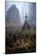 Photographic Print