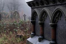 Graveyard in England in Winter-David Baker-Photographic Print