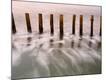 Premium Photographic Print