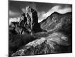 Photographic Print