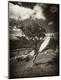 Photographic Print
