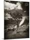 Photographic Print