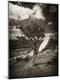 Photographic Print