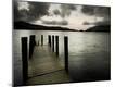 Photographic Print