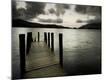 Photographic Print
