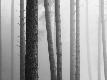 Premium Photographic Print