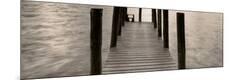 Premium Photographic Print