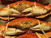 Dungeness Crab at Pike Place Public Market, Seattle, Washington State, USA-David Barnes-Photographic Print