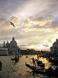 Grand Canal, Santa Maria della Salute Church, Gondolas, Venice, Italy-David Barnes-Photographic Print