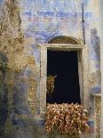 Detail of Strings of Onions on a Window Sill in Greece, Europe-David Beatty-Photographic Print