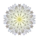 Kaleidoscope Dahlia Black-David Bookbinder-Framed Premium Giclee Print