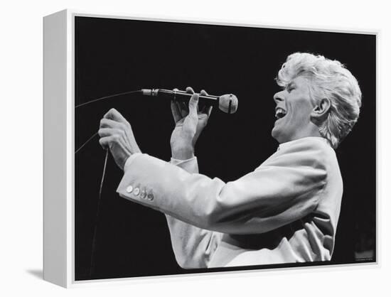 David Bowie Performing at Madison Square Garden-null-Framed Premier Image Canvas