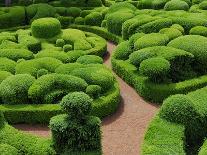 Topiary Garden at Chateau de Marqueyssac-David Burton-Laminated Photographic Print