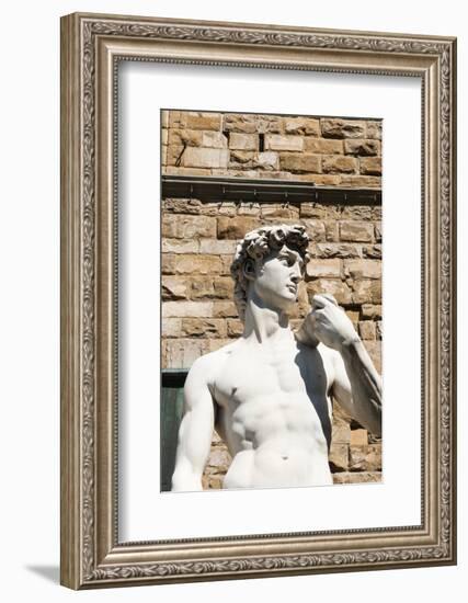 David by Michelangelo Dating from the 16th Century, Piazza Della Signoria, Florence (Firenze)-Nico Tondini-Framed Photographic Print