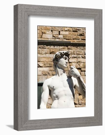 David by Michelangelo Dating from the 16th Century, Piazza Della Signoria, Florence (Firenze)-Nico Tondini-Framed Photographic Print