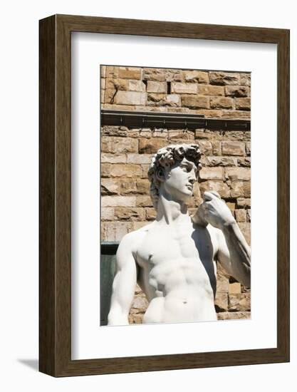 David by Michelangelo Dating from the 16th Century, Piazza Della Signoria, Florence (Firenze)-Nico Tondini-Framed Photographic Print