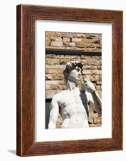 David by Michelangelo Dating from the 16th Century, Piazza Della Signoria, Florence (Firenze)-Nico Tondini-Framed Photographic Print