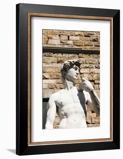 David by Michelangelo Dating from the 16th Century, Piazza Della Signoria, Florence (Firenze)-Nico Tondini-Framed Photographic Print