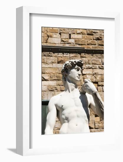 David by Michelangelo Dating from the 16th Century, Piazza Della Signoria, Florence (Firenze)-Nico Tondini-Framed Photographic Print