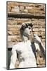 David by Michelangelo Dating from the 16th Century, Piazza Della Signoria, Florence (Firenze)-Nico Tondini-Mounted Photographic Print