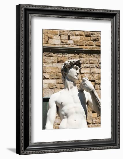 David by Michelangelo Dating from the 16th Century, Piazza Della Signoria, Florence (Firenze)-Nico Tondini-Framed Photographic Print