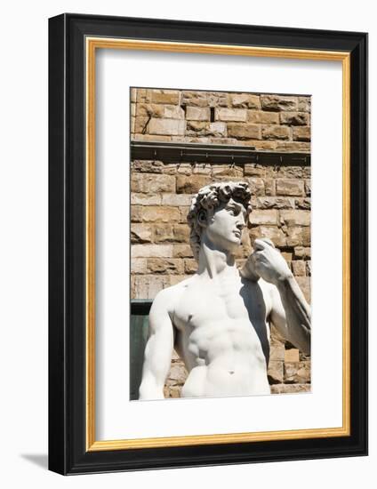 David by Michelangelo Dating from the 16th Century, Piazza Della Signoria, Florence (Firenze)-Nico Tondini-Framed Photographic Print