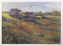 House in a Field-David Cain-Collectable Print