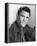 David Canary-null-Framed Stretched Canvas