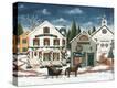 Stretched Canvas Print