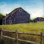 Weathered Barns Navy-David Carter Brown-Art Print