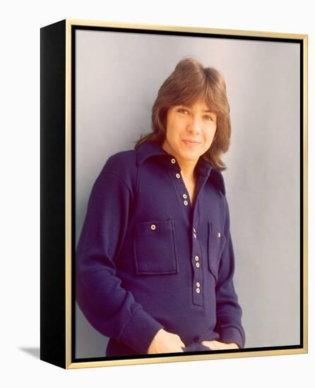 David Cassidy-null-Framed Stretched Canvas