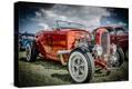 Stretched Canvas Print