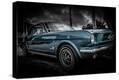 Stretched Canvas Print
