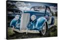 Stretched Canvas Print