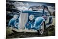 Premium Photographic Print