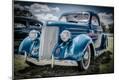 Photographic Print