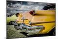 Photographic Print