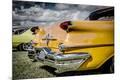 Premium Photographic Print