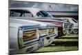 Photographic Print