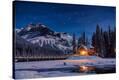 Stretched Canvas Print