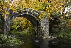 Autumn at Holne Bridge, Dartmoor, England-David Clapp-Photographic Print