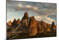 Photographic Print