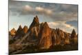 Photographic Print