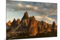 Photographic Print