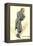 David Copperfield by Charles Dickens-Hablot Knight Browne-Framed Premier Image Canvas