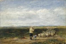The Shepherd, Return of the Flock, 1850 (Oil on Board)-David Cox-Giclee Print