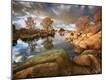 Photographic Print