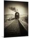 Photographic Print
