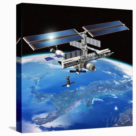 Stretched Canvas Print, , large